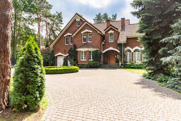 Best Driveway Paving Contractor  in Hackleburg, AL